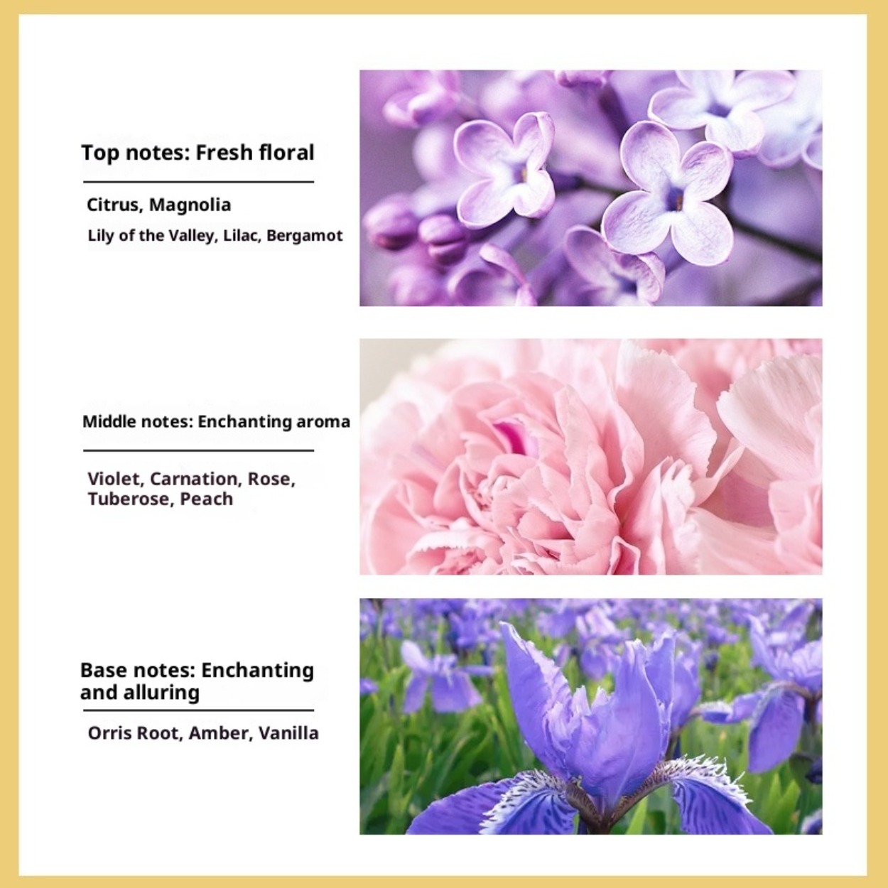 No. 5 Eau de Toilette da Donna - Perfume Fragrance Brands recensione e prezzo