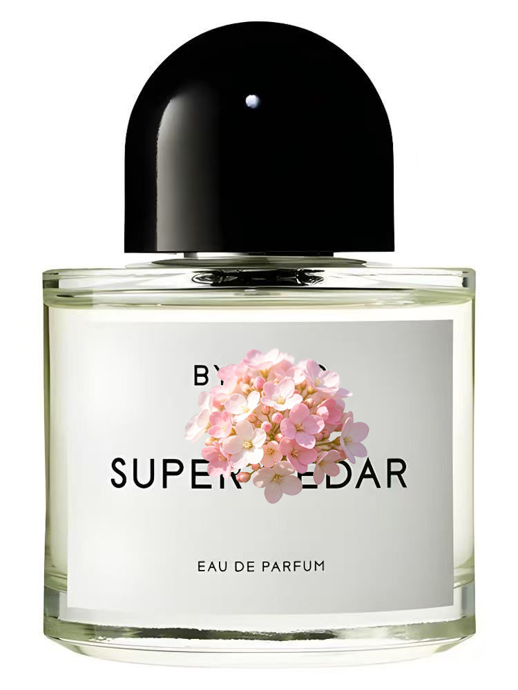 Eau de Parfum Unisex 100ml 3.4 - Perfume Luxury Fragrance recensione e prezzo