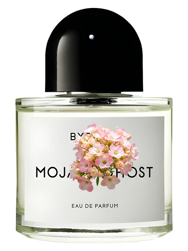 Eau de Parfum Unisex 100ml 3.4 - Perfume Luxury Fragrance recensione e prezzo